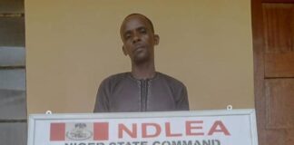 NDLEA intercepts explosives for bandits, illicit drugs for Europe