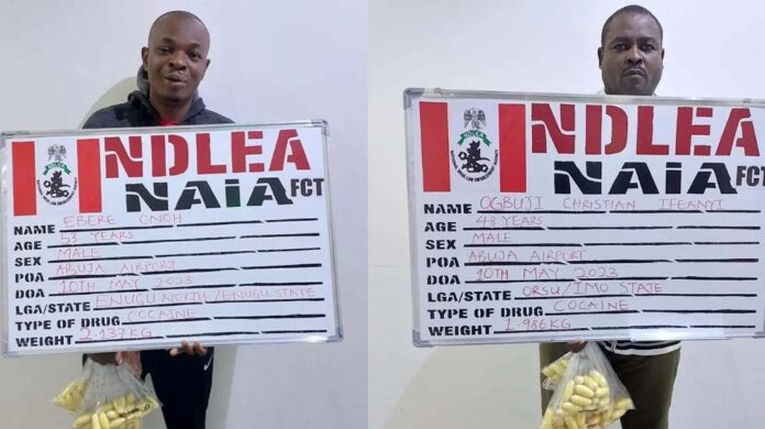 businessmen excrete 193 cocaine pellets