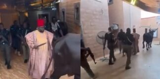 Sallah: Seven armed policemen guarding cow, owner + Video policemen