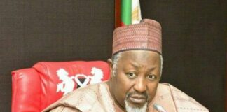 Niger rejoins Multinational Joint Task Force to combat insurgency, says Defense Minister