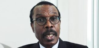 FG has spent $8 billion to support the Naira – Rewane Tinubu