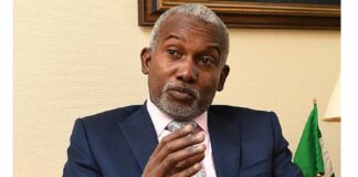 FG attracts $14bn, €250m foreign investments from India, Netherlands Tuggar