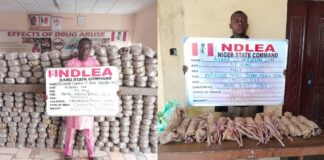 NDLEA intercepts illicit drugs concealed in tomato pastes, clothes at airport