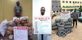 NDLEA seizes illicit drug at MMIA, intercepts 5 pregnant teenage girls
