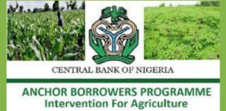 Half of CBN’s Anchor Borrower program beneficiaries, not farmers – Stakeholder Anchor Borrower