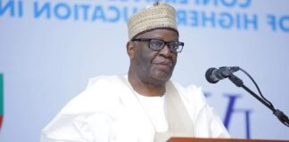 Over 1,000 insurgent groups operating in Africa, says Gambari Obasanjo