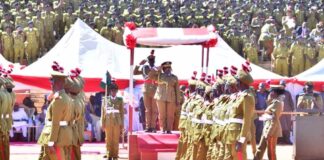 We won’t tolerate sabotage of drug war, Marwa warns