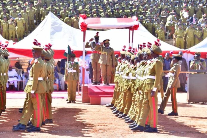 PHOTO-2023-11-30-13-15-53