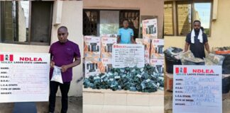 NDLEA uncovers illicit drugs in jeans hems, dolls, tins of Milo, buttons