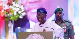 At Akpabio’s birthday colloquium, Tinubu says ‘we’re transforming Nigeria with support of NASS’