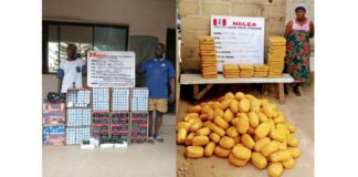NDLEA intercepts 7.5m tramadol pills, 95,400 codeine bottles
