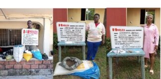 NDLEA busts Katsina wedding drug party, arrests groom, 25 others