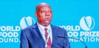 Roads infrastructure critical to Tinubu’s development agenda – Shettima