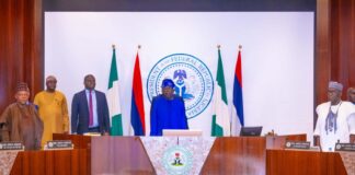 Tinubu to 36 Govs: Let’s support local farmers to boost food production