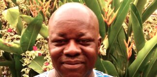 The Dangers of Introducing State Police Today, By Jibrin Ibrahim