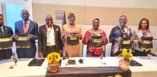 Dele Alake chairs African Mining Ministers Group