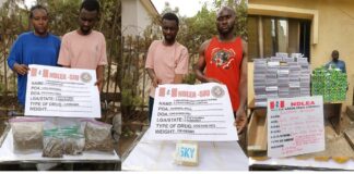 NDLEA launches massive raids in Lagos, Edo, Ondo, seizes 44,948kg drugs, 11 vehicles