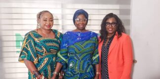 Dabiri-Erewa commends Association of Nigerian Physicians in Americas