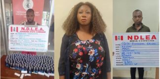51.90kg heroin: NDLEA arrests 3 wanted kingpins, intercepts Oman-bound drug consignment
