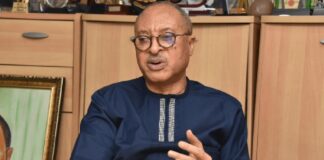 DSS takes legal step, drags Utomi to court over alleged ‘Shadow Govt’ creation