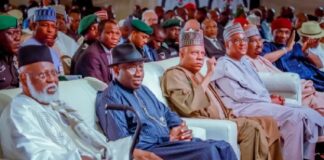 Shettima, Jonathan, others speak with one voice — It’s time for State Police