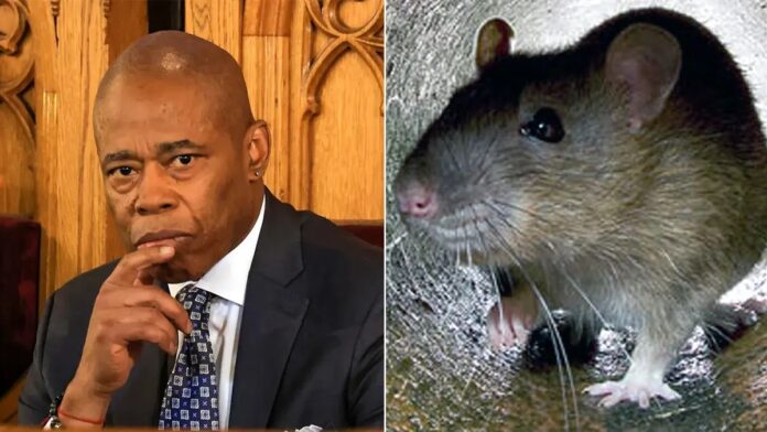 New York City Mayor announces rat summit