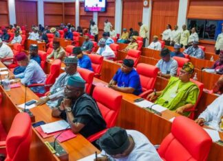 Senate concludes amendment to 69-year-old Audit Act