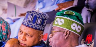 Tinubu Presidency @ 1: As Shettima consolidates the gains of Renewed Hope Agenda