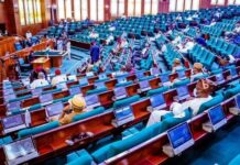 Reps seek release of aircraft, soldiers detained by B’Faso
