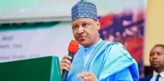 Over 35 aircraft procured, 13,500 terrorists killed under Tinubu’s govt, says Information Minister