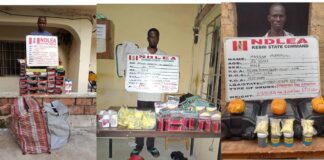 NDLEA intercepts codeine shipment from India, US, UK-bound opioids in ladies’ hair