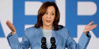 Why Kamala Harris fell short in her historic dash for White House