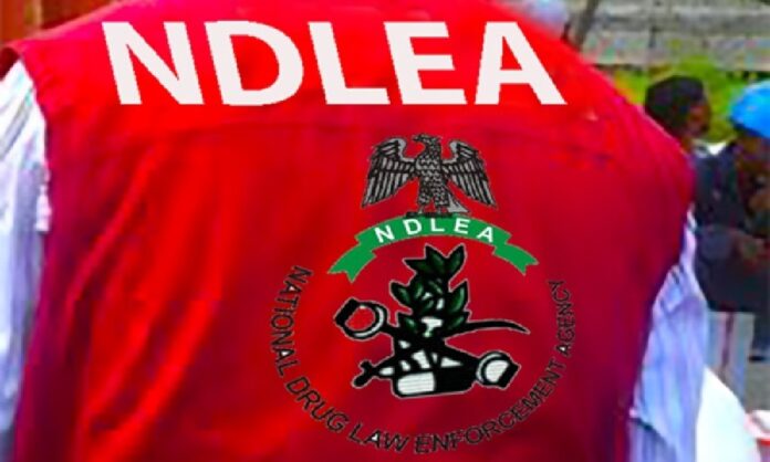 NDLEA