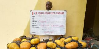 NDLEA seizes US, UK, Europe-bound cocaine, opioids concealed in shoe soles, clothes