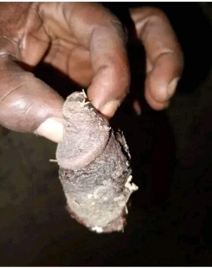 PHOTO-2024-07-31-13-59-48