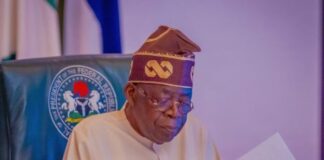 N4.2tn foreign MoUs signed under Tinubu – Report