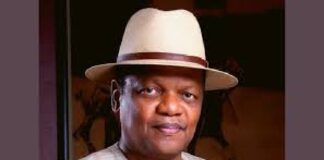 INEC under Mahmood Yakubu was a national disgrace, Atedo Peterside alleges