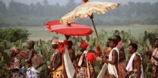 Ogun, Oyo declare August 20 public holiday for Isese Day