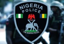 Court bars IGP, NPF from enforcing tinted glass permit policy nationwide