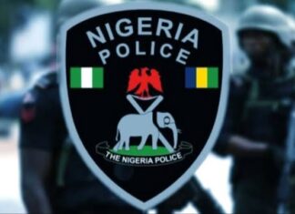 Court bars IGP, NPF from enforcing tinted glass permit policy nationwide