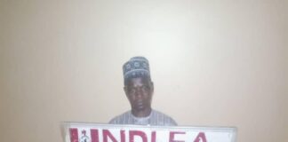 NDLEA intercepts UK, Europe-bound cocaine in female sanitary pads, hair cream