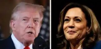 US presidential poll: Trump leads with 230 votes, Harris 205