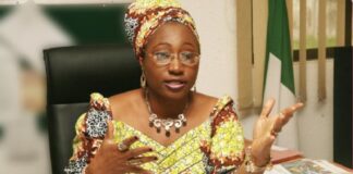 Democracy in black and white, by Bisi Adeleye-Fayemi