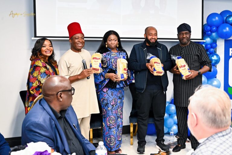 Gov Bago woos Diaspora investors to Niger State