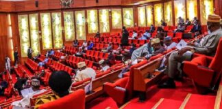 Kebbi schoolgirls’ abduction: Senate demands probe of $30m Safe-School Funds, seeks recruitment of 100,000 troops