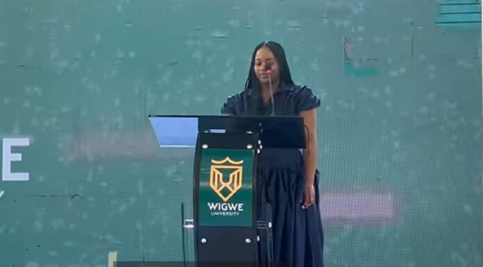 Tochi Wigwe gives speech