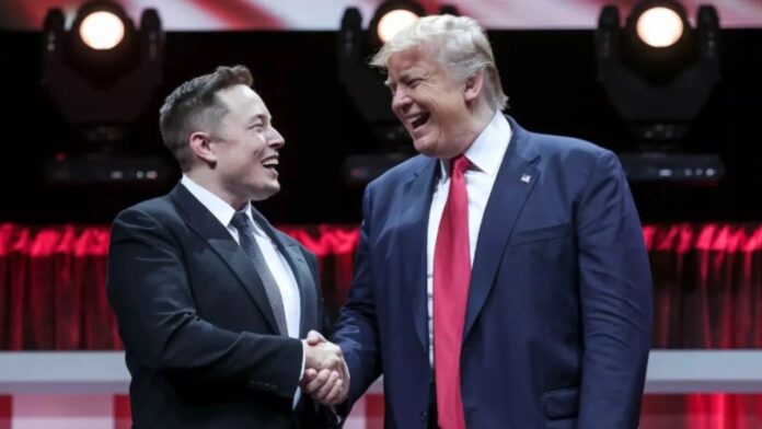 Trump selects Elon Musk