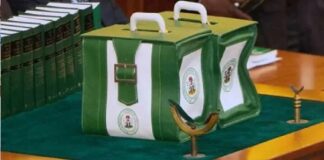 Defence gets lion’s share of N4.9trn, Infrastructure N4.06trn as Tinubu presents N49.7trn 2025 Budget to NASS