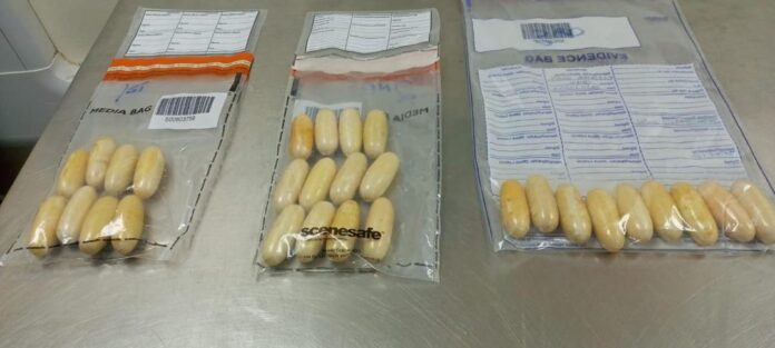 PHOTO-2024-12-01-10-49-47 (1)