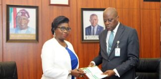 Dabiri-Erewa applauds Cardoso on launch of non-resident Nigerian accounts